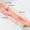 Leg Model（27.56in）