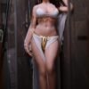 May - 1:1 Scale Silicone/TPE Large Breast Sex Doll（5' 4"/163cm）